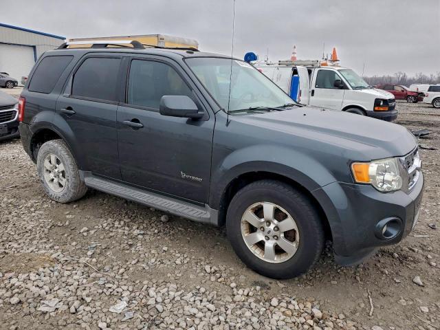 Ford Escape Hybrid Image 3