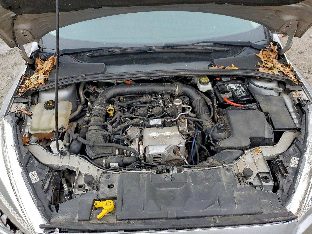 Ford Focus Se Image 3