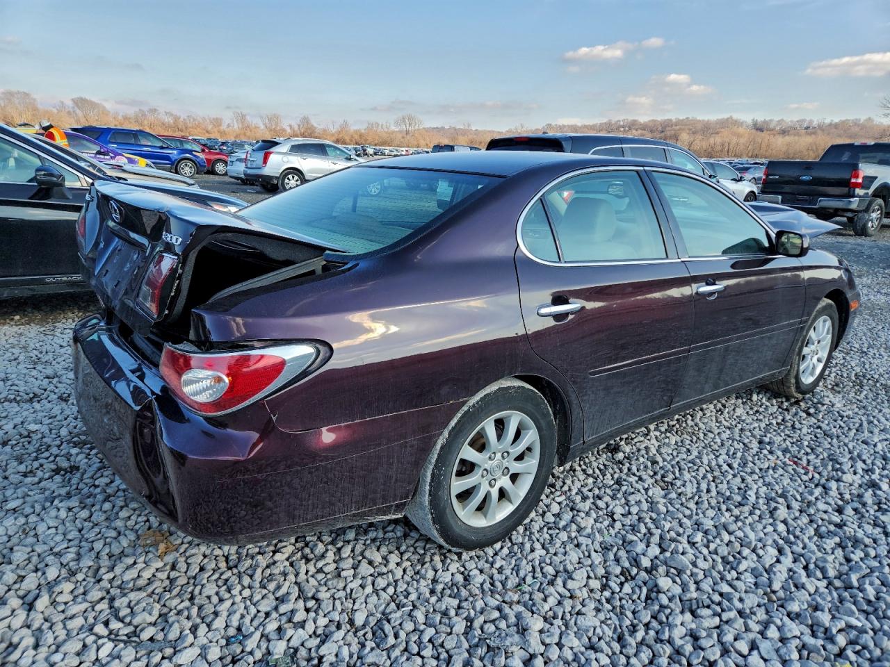 Lexus Es 300 Image 4