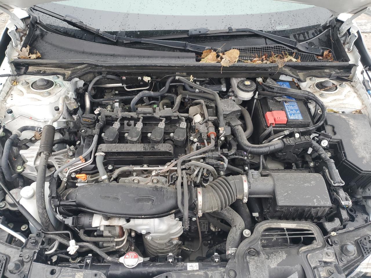 Honda Civic Exl Image 9
