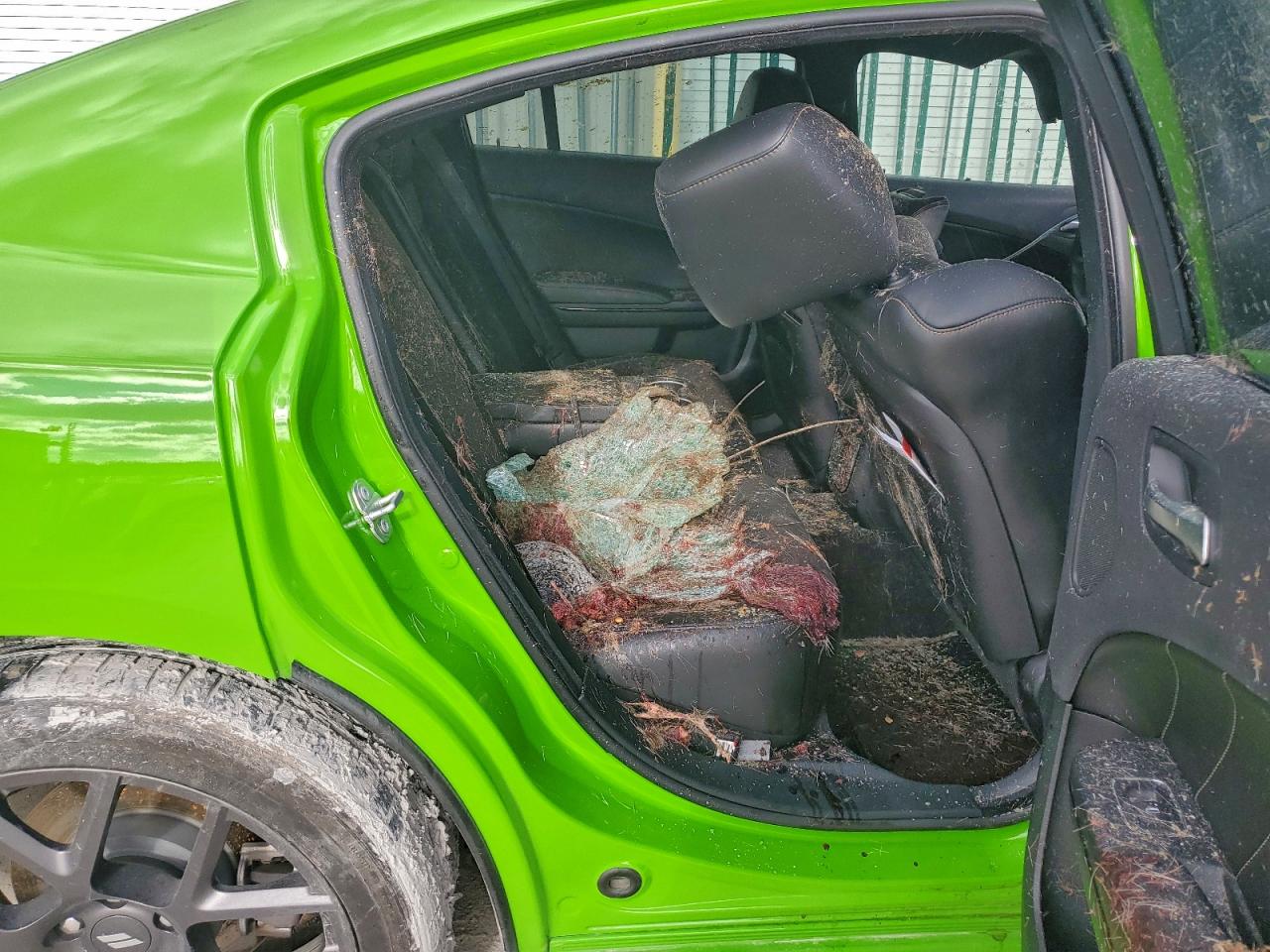 Dodge Charger R/t Image 12