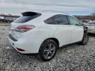 Lexus RX 350 Base Image 13